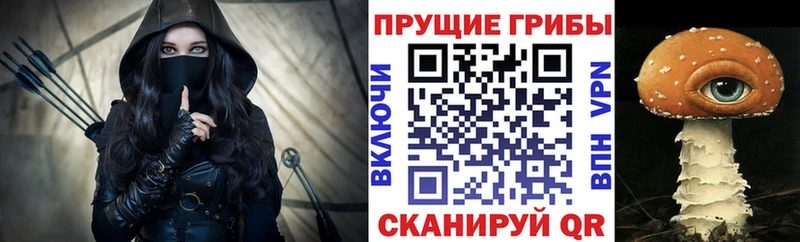 где найти наркотики  Губаха  Галлюциногенные грибы Magic Shrooms 