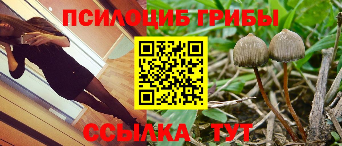 Галлюциногенные грибы ЛСД  Вход с VPN  Губаха 