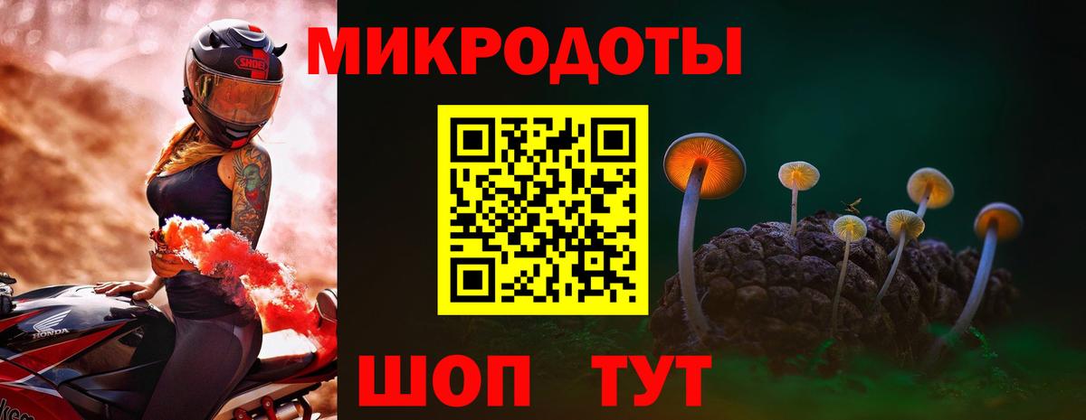 Псилоцибиновые грибы мицелий Губаха