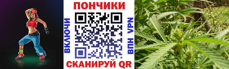 как найти   Губаха  Бошки Шишки THC 21% 